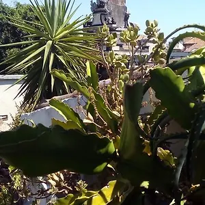 https://creative-apartment.sicilyhotelsitaly.net